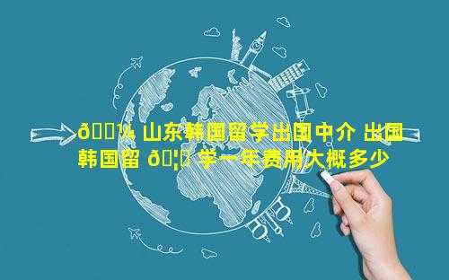 🌼 山东韩国留学出国中介 出国韩国留 🦉 学一年费用大概多少钱